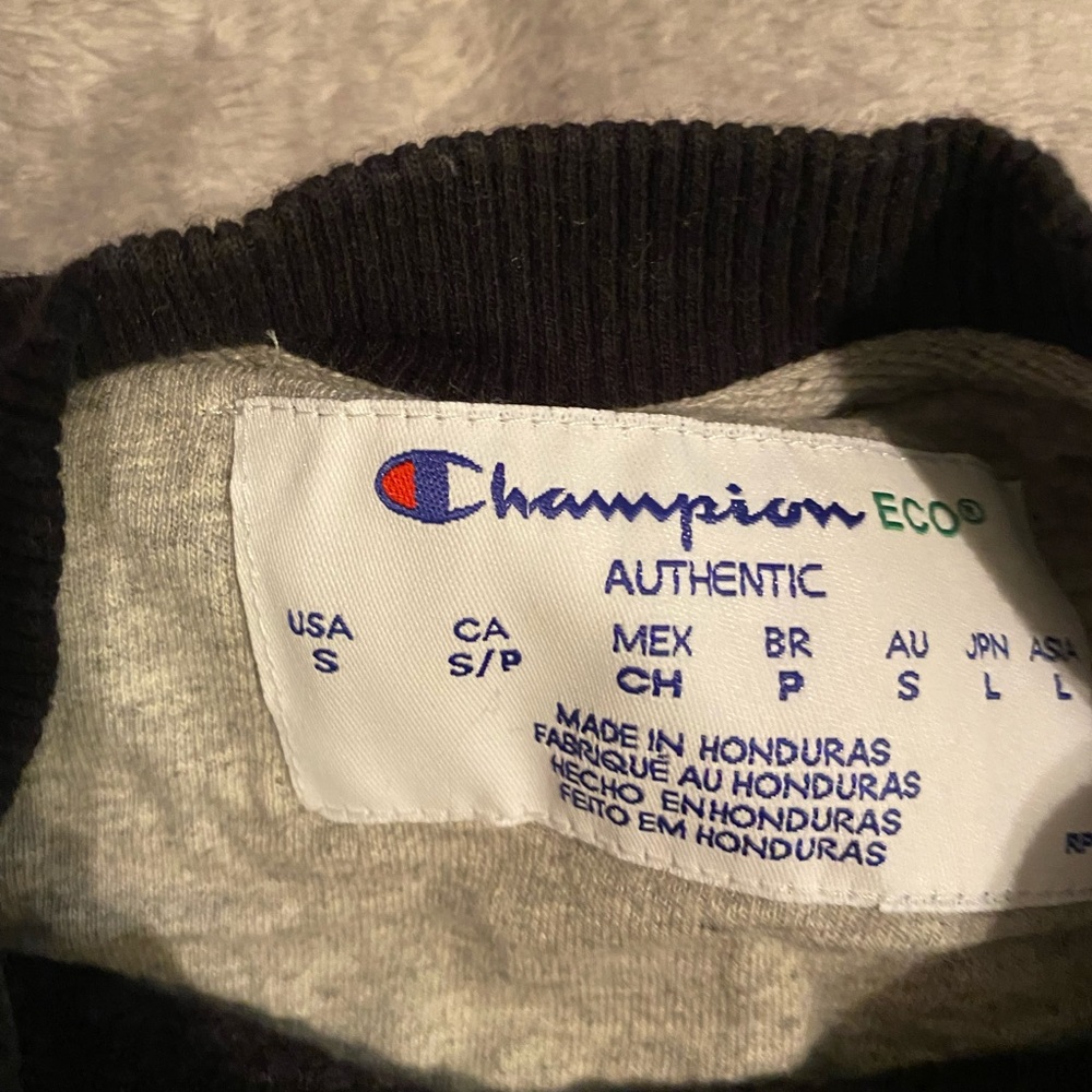 champion pullover.